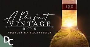 The Pursuit For The Perfect Wine | A Perfect Vintage | Wine Documentary | Documentary Central