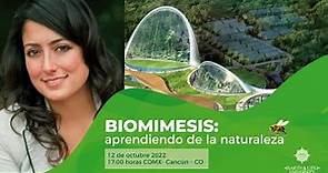 Biomímesis: Aprendiendo de la naturaleza