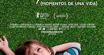 Boyhood. Momentos de una vida - Película - 2014 - Crítica | Reparto | Estreno | Duración | Sinopsis | Premios - decine21.com