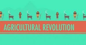 The Agricultural Revolution: Crash Course World History #1