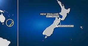 Sisma di magnitudo 7.8 in Nuova Zelanda, onde tsunami su costa est