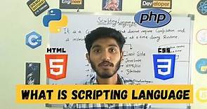 What is scripting language? | Definition, examples, and features