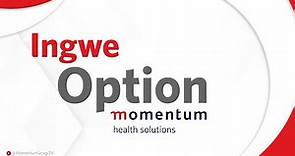 Momentum Medical Scheme | Ingwe Option | Get affordable medical aid today!