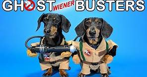 Ep #4: GHOSTWIENERBUSTERS - (Funny, & Spooky Dog Video for Halloween!)
