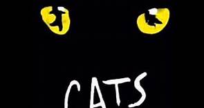 Cats the invitation of the jellicle ball (Original Broadway cast)