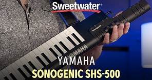 Yamaha Sonogenic SHS-500 Keytar Demo — Daniel Fisher