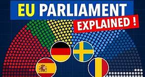 What is the European Parliament?