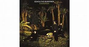 Echo & The Bunnymen - I Want To Be There (When You Come)