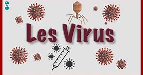 Qu'est ce qu'un Virus ? Bases virologiques