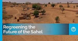 Regreening the Future of the Sahel: Climate Adaptation Policies and Investments