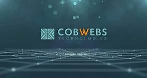 Cobwebs Technologies - Overview