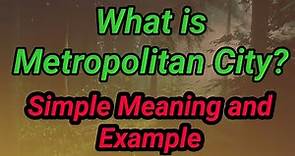 What is Metropolitan City? Metropolitan in Geography? | Metropolitan meaning with example?
