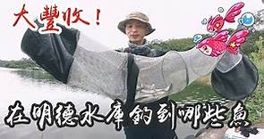 [苗栗]明德水庫湖釣 兩種魚, 特調魚餌大受好評 🐟Let's go fishing, Mingde Reservoir.