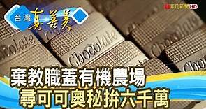 “可可農場”拚六千萬黑金｜阿信巧克力農場｜【台灣真善美】2023.07.23