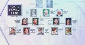 A look at the Royal Family tree and the line of succession