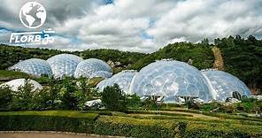 They Built a Rainforest Ecosystem inside a Geodesic Dome