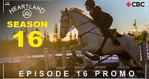 Heartland Season 16 Episode 16 "A light in the dark" | Heartland 16x15 Ending Explaned,Georgie & Amy