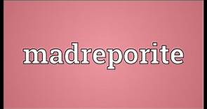 Madreporite Meaning