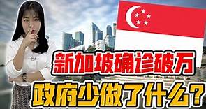 新加坡“疫情大爆发”的两个原因！政府到底忽略了什么？台媒狂言：新加坡需要台湾支持！【政经10分钟 EP106】