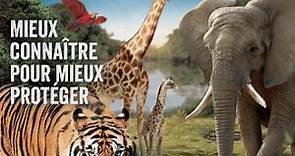 Zoo de la Flèche ᐅ Tarifs Billet Promo Horaires 2024 Avis