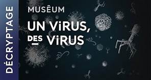 Qu'est-ce qu'un virus ? | Web-série Virus