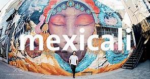 Mexicali | Baja road trip #1 Alan por el mundo
