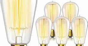 Vintage Incandescent Edison Light Bulbs 60W (6 Pack)- E26/E27 Base 2100K Dimmable Decorative Lightbulbs - ST58 Style Warm Light - Antique Squirrel Filament Vintage Light Bulb for Outdoor and Indoor
