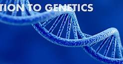 Introduction to Genetics | Basic Biology