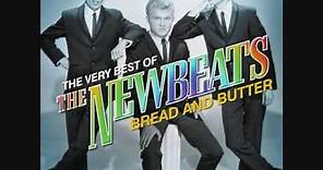 Run Baby Run-The Newbeats-1965