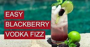 Blackberry Vodka Fizz | Easy Cocktail Recipe!