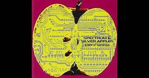 Spectrum & Silver Apples - Streams Of Sorrow - A Lake of Teardrops