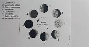 Cómo dibujar las fases de la luna (eclipse lunar) | How to draw the phases of the moon