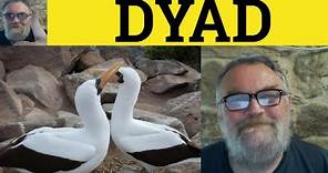 🔵 Dyad Meaning - Dyadic Definition - Dyad Examples - Formal Vocabulary - Dyad