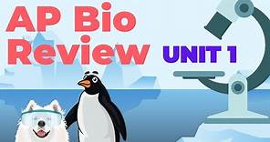 AP Biology: Unit 1 Review