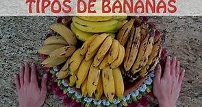 Tipos de Bananas