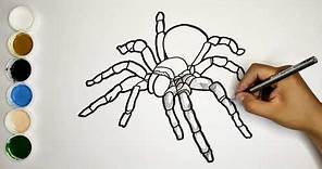 Como dibujar y pintar una tarántula-Dibujos fáciles/How to draw and paint a tarantula| Drawgame