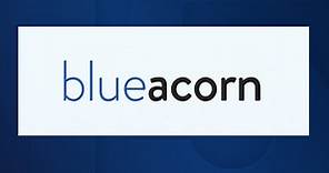 Arizona-based Blueacorn questioned in congressional PPP loan fraud investigation