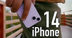 Обзор iPhone 14. Стоит ли брать Айфон 14?
