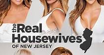The Real Housewives of New Jersey: Season 8 Episode 1 Shaddy Beach