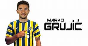 Marko Grujic ● Welcome to Fenerbahçe 🟡🔵 Skills | 2023 | Amazing Skills | Assists & Goals | HD