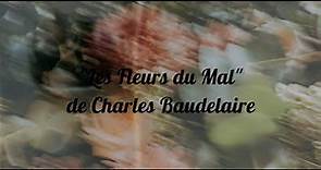 Les Fleurs du Mal de Charles Baudelaire | L'essentiel en moins d'une minute