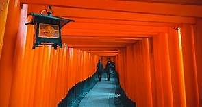 Il Meglio di KYOTO • Giappotour Ep.7 [Kyoto - Fushimi Inari - Nara - Todai-ji - Kasuga-taisha]