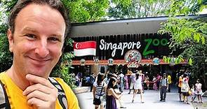 SINGAPORE ZOO Guide: The World's Best Rainforest Zoo!