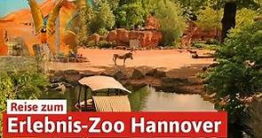 Erlebnis-Zoo Hannover - Reise in die Welt der Tiere