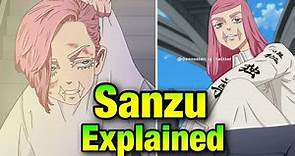 Sanzu Haruchiyo Explained Tokyo Revengers (English)