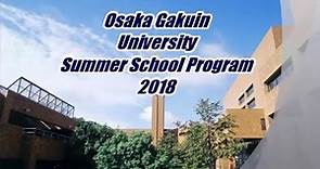 Osaka Gakuin University 2018 Summer School