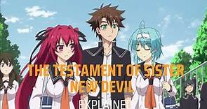 The Testament of sister:New devil Explained | Anime review