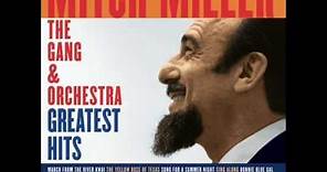 Song For A Summer Night By Mitch Miller