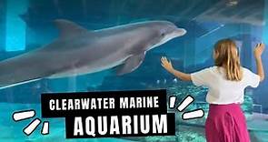 Clearwater Marine Aquarium Full Tour