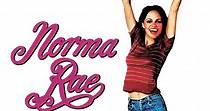 Norma Rae - película: Ver online completas en español